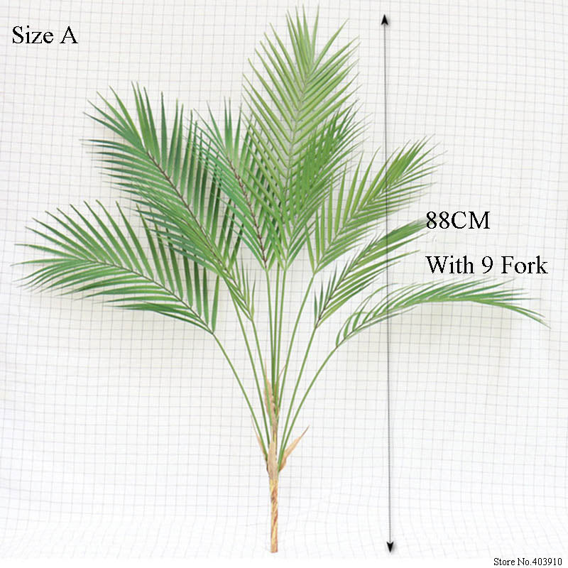 Palme "Scutellaria Tropical"